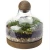 Import Garden wholesale vase clear glass terrarium plants with wooden base and wooden ball top from China