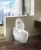Import Gizo LZ-0701z Washlet bidet toilet seat with integrated dual flush toilet from China