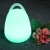 Import Glowing rechargeable led handle lamps illuminated colorful decorative home table lamp led outdoor camping lamps from China