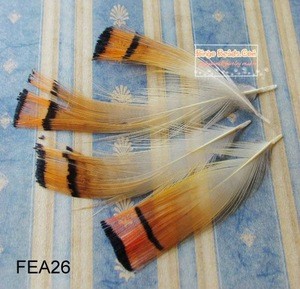 Golden Pheasant Tippet Feathers Body Craft
