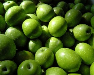 Green and Black olive/ Fresh olive From Turkey