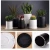 Import Greenaholics Mini Succulent Plant Pots with Tray, Round Cylinder Black Pots Ceramic Flower Pots/ from China