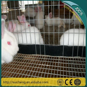 Guangzhou Factory 3 tier 72 rabbit portable rabbit cages rabbit breeding cage for sale with CE ISO certificate
