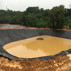 Guangzhou manufacture waterproof impermeable eva hdpe membrane pond liner geomembrane for fish farming tank