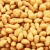 Import Halal Certificate Snack Coated Fried Sunflower Seed Kernels Wholesale from China