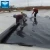 Import HDPE geomembrane pond liner from China