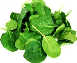 Health food spinach powder spinach extract