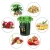 Import Heavy Duty PE Thickened Plastic Garden Plant Potato vegetable Grow Bag with Handles and Large Harvest Window from China