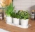 Import Herb Pot Planter Set with Tray for Indoor Garden or Outdoor Use, Decorative White Metal Succulent Potted Planters for Kitchen from China