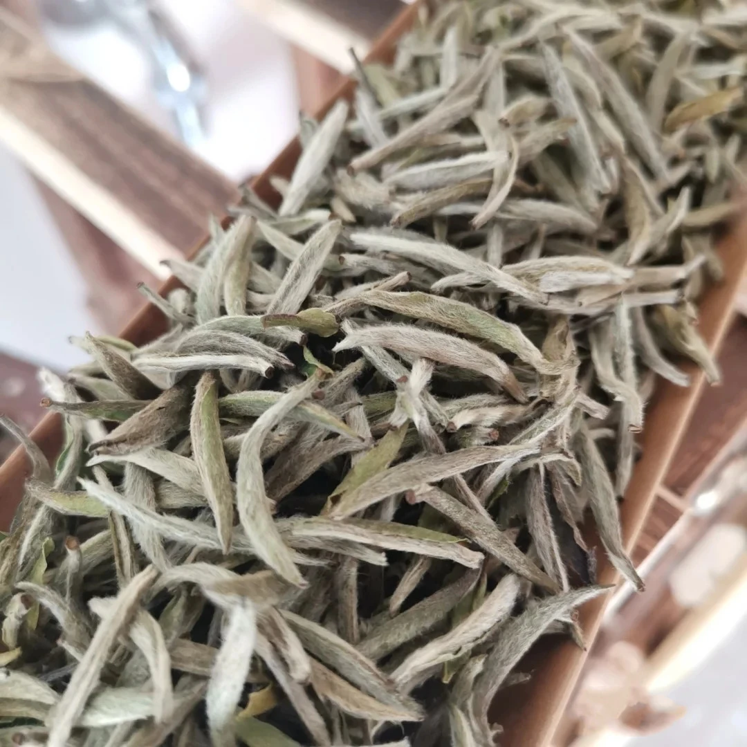 High quality Fujian  Silver Needle White Tea organic white silver needle tea