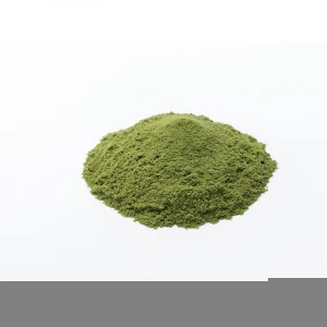 High quality juice instant drink powder green fruit juice instant