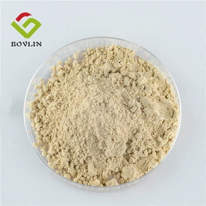 High Quality Natural Natto Extract Nattokinase Raw Material 5000 FU Nattokinase Enzymes Powder Bulk