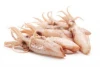 High quality pacific frozen whole squid