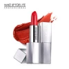 high quality private label cosmetics makeup natural organic matte lipstick