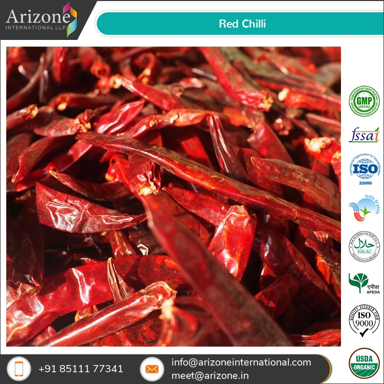 High Quality Wholesale Single Spices Dried Hot Red Chili from Reliable Supplier