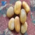 Import High quality yellow pebble landscaping stones from China