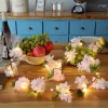 Holiday Decor Battery Power Artificial Flower LED Lights 2m 20LED Wedding Decor Lights Indoor Warm White Pink Fabric Flower Lamp