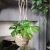 Import Home appliances Seagrass Plant Basket Hanging Set Handmade from China