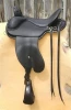 horse trail saddle