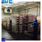 Hot-sale Cold room (walk in freezer) for fruit/fish/meat/flower