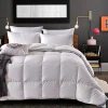 Hot sale luxury winter satin printed down comforter