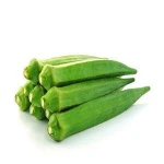 hot selling Fresh Vegetables fresh Okra , Ladyfinger , from Bangladesh