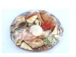 HT Natural Shells & Coral Deco