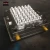 Import Huangyan Experienced Plastic Injection Egg Pallet Tray Mold from China