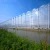 Import Hydroponics Tomato Greenhouse with Pc Sheet Cover China Multi-span Agricultural Greenhouses Glass Large from China