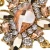 Import Imitation Diamond Waist Chain India Gold Waist Chain Belt Design For Dress from China