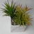 Import indoor decoration artifical succulents marble finished plant pot with stones inside from China