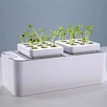 indoor outdoor plants