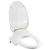 Import Intelligent bidet toilet seat ,electric bidet toliet seat,auto fumigating toilet cover from China