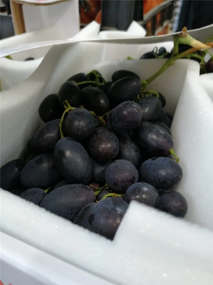 Italian Palieri Black Magic Grapes Fresh Black Grapes for Sale
