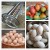 Import JY  China Manufacturer Price Egg Washer Cleaning Machine / Brush Washing Machine for Egg / Duck Egg from China