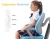 Import kid room height adjustable children chair height adjustable  for children study and read  children room from China
