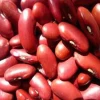 Kidney Red Beans