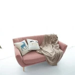 Latest design promotional solid soft fleece blanket printed