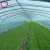 Import LDPE Clear Agriculture Greenhouse Covering Black Protection Builders PE Plastic Film from China