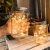 Import LED Fairy Light Mason Jar Solar Light Lids Outdoor Garden Christmas Hanging Solar Jar Light from China
