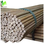 liberty bamboo ski poles 120