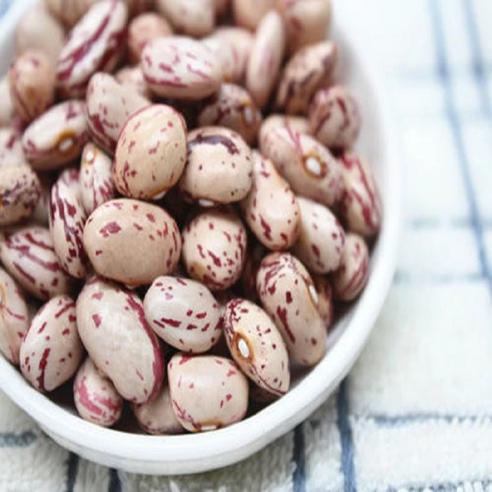 Light Speckled Pinto red  Sugar kidney beans price