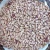 Import Light Speckled Pinto red  Sugar kidney beans price from China