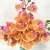 Import Low Cost Large Commercial Orchid Latex Flowers Real Touch Artificial Plants And Flowers from China