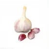 Low price vegetables 4.5cm-6.5cm normal white fresh garlic