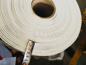 LUYANGWOOL Heat treatment furnace Fireproof coating fire paper