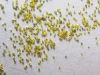 MBD Synthetic diamond powder abrasive yellow diamond powder priceRVD