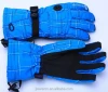 Mens/Womens Waterproof Winter warm outdoor wolesale fashion Ski Gloves