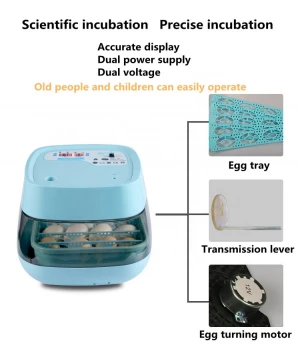 Mini Automatic Incubator Chicken Duck Goose Egg Incubator Chicken Eggs Incubator And Hatcher