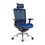Multi functional Swivel Executive Green Mesh Chair With Adjustable Armrest